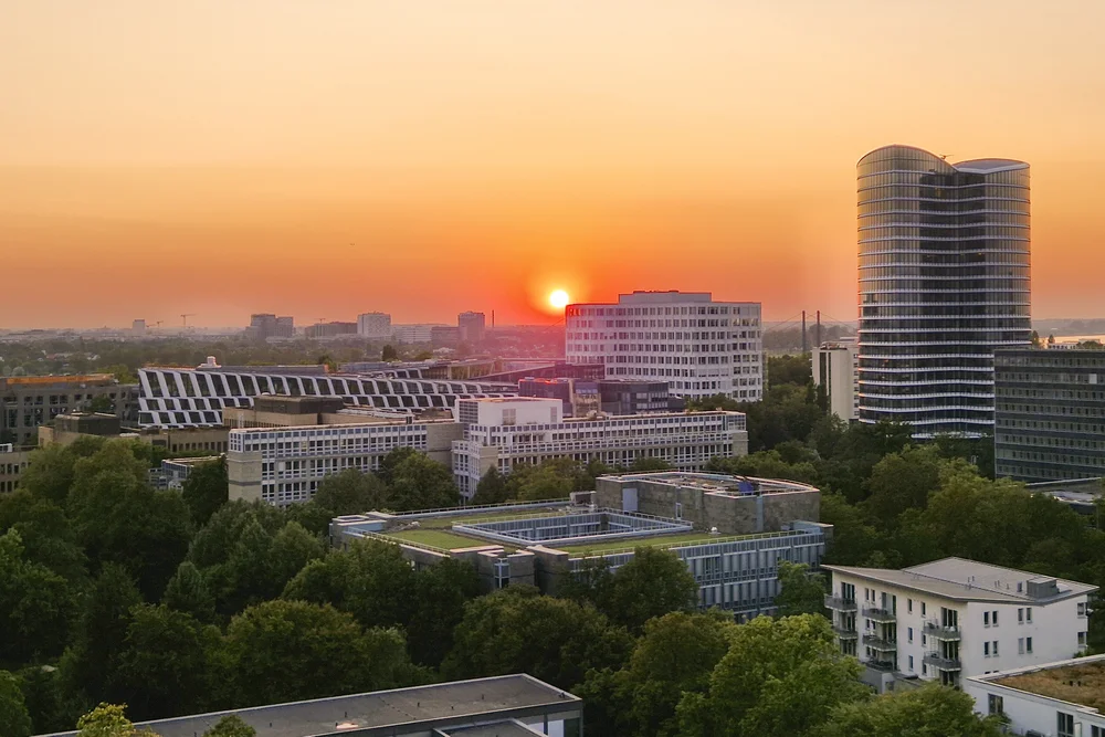 Städtische Skyline mit modernen Bürogebäuden und Bäumen im Vordergrund bei Sonnenuntergang